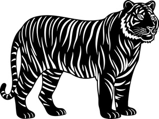 tiger vector illustration