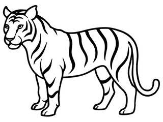 vector illustration of a tiger