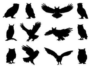 Set of Owl Silhouette in various poses isolated on white background