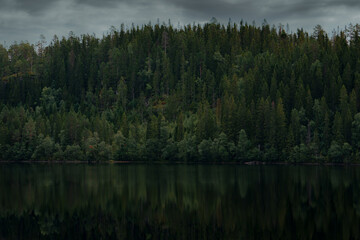 Norwegian forest and lake