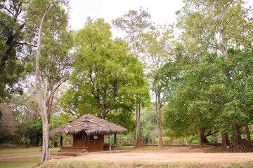old house in the forest