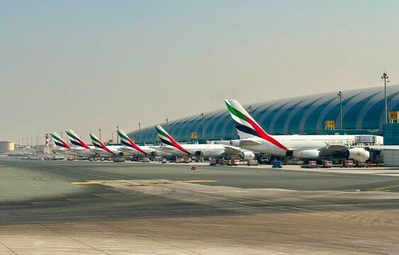 Dubai, UAE - November 8, 2024: A row of Emirates Airlines planes parked at the terminal building, Dubai Airport, United Arab Emirates. 