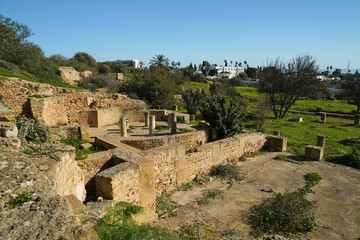 Il complesso archeologico con i resti dell'antica città punica di Cartagine. TUNISIA, Area...