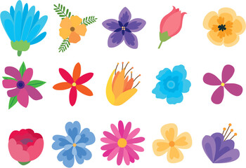 Colorful flowers	