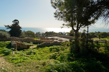 Il complesso archeologico con i resti dell'antica città punica di Cartagine. TUNISIA, Area...