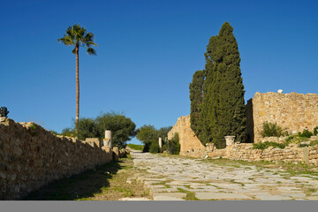 Il complesso archeologico con i resti dell'antica città punica di Cartagine. TUNISIA, Area...