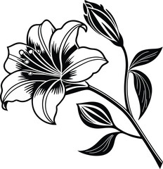 vector illustration of a feather,vector tree with floral elements,vector black silhouette of a tree,black and white floral ornament,black and white flower,abstract floral background