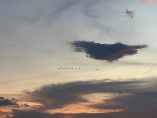 plane in the sky