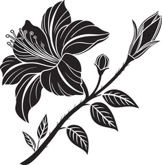 vector illustration of a feather,vector tree with floral elements,vector black silhouette of a tree,black and white floral ornament,black and white flower,abstract floral background