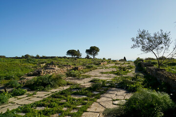 Il complesso archeologico con i resti dell'antica città punica di Cartagine. TUNISIA, Area archeologica di Cartagine. Cartagine, Tunisia, Nord Africa