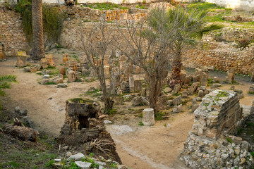 Il complesso archeologico con i resti del Santuario punico del Tophet Salammbo dell'antica...