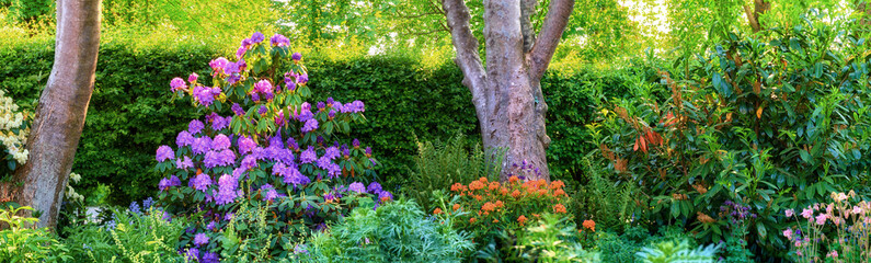 Nature, outdoor and flowers in bloom at park with color, growth and countryside landscape. Backyard, trees and floral plants with leaves for botanical environment with conservation in garden field.