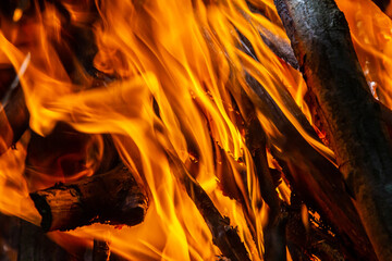 Flame of charcoal fire. Hearth for cooking and heating. Danger in forest