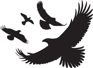 Flying Bald Eagle black and white Silhouette vector, A Bald Eagle black Silhouette Vector design.