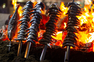 sardines and fish on the fire pierced with a sword, typical of Malaga, they are called espetos