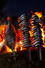 sardines and fish on the fire pierced with a sword, typical of Malaga, they are called espetos