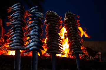 sardines and fish on the fire pierced with a sword, typical of Malaga, they are called espetos