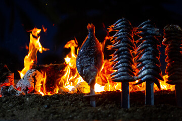 sardines and fish on the fire pierced with a sword, typical of Malaga, they are called espetos