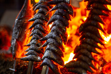 sardines and fish on the fire pierced with a sword, typical of Malaga, they are called espetos