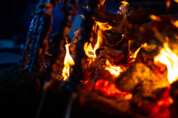 sardines and fish on the fire pierced with a sword, typical of Malaga, they are called espetos