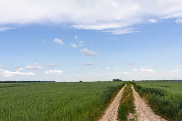 Dusty dirt road winds through lush green fields under a clear blue sky with scattered clouds in the countryside