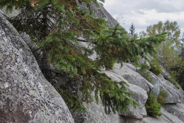 Rocky landscape with lush greenery and overcast sky showcasing nature's textures in a serene environment