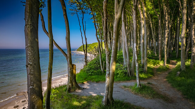 Strand Nonnevitz - Insel R&uuml;gen