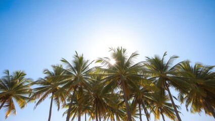 A tropical beach scene with tall palm trees swaying against a bright blue sky, with the golden sun shining through the leaves