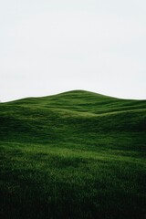 Obraz premium Green Grass Hill Landscape. Serene pasture under cloudy sky. Scenic background