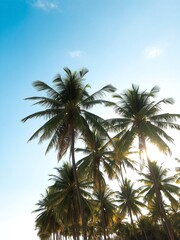A tropical beach scene with tall palm trees swaying against a bright blue sky, with the golden sun shining through the leaves