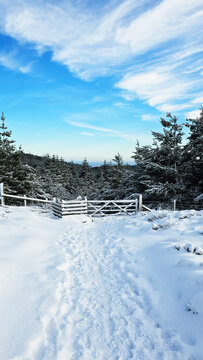 Frozen Landscape, Winter secene at Moel Famou North Wales