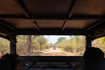 Fototapeta premium The interior of the car driving on the road is located in Sri Lanka.
