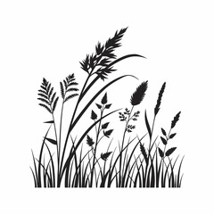 Silhouette of various grasses and plants in black on white background.