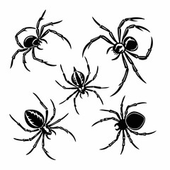 black spider silhouettes isolated on a white background.