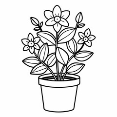 flower in pot