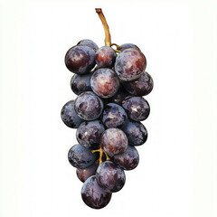 Fototapeta premium Black Grapes Isolated