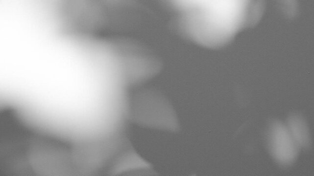 Wall interior background, studio and backdrops show products.with shadow from window color white and grey. background for text insertion and presentation product