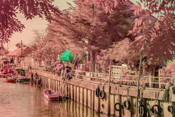 Infrared photography, a riverside scene with a dock area
