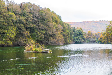 Tranquil scene of a small lake surrounded by lush green trees. A small, sunken boat lies partially submerged in the water, adding a touch of mystery to the landscape.