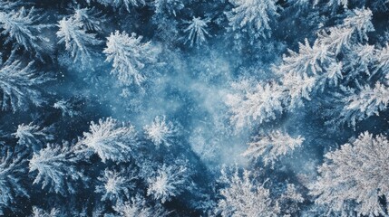 Snow-covered forest landscape captured from above showcasing the pristine beauty of winter in a tranquil setting