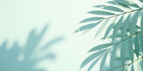 Serene Leaf Shadows and Soft Light on a Pale Green Background, Creating a Peaceful and Tranquil Atmosphere Ideal for Wellness and Nature-Inspired Designs