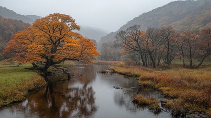 Fototapeta premium Autumnal valley river, misty mountains, colorful foliage, serene landscape, nature photography