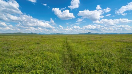Obraz premium Path across vast grassy steppe under blue sky