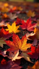 Fototapeta premium Crisp autumn leaves, vibrant reds & golds, fallen on ground, forest, background, texture