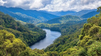 Mountain valley landscape with winding river and lush forest