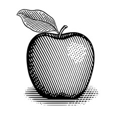 Vintage style  illustration of an apple with leaf resting on a surface.