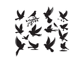 Birds silhouette vector file bundle isolated on white background