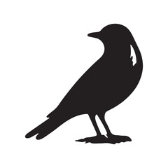 Bird silhouette vector file isolated on white background