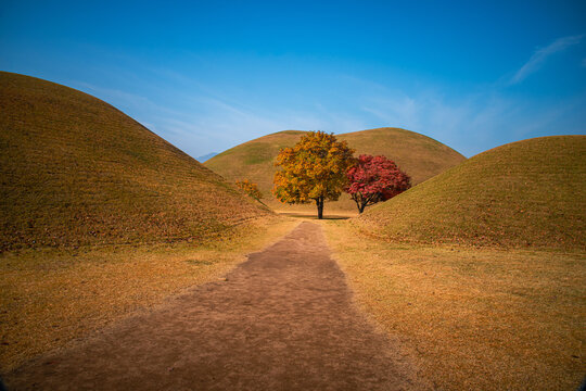 Daereungwon in Gyeongju is a royal tomb complex from the Silla Dynasty.