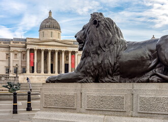 Trafalgar square lion at Nelson column with National Gallery at background, London, UK